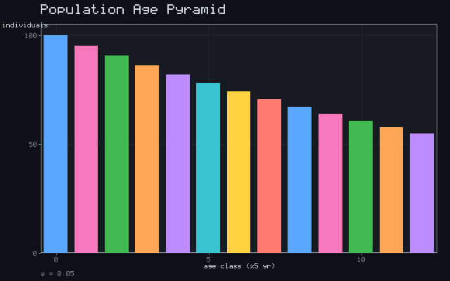 Population Age Pyramid