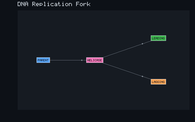 DNA Replication Fork