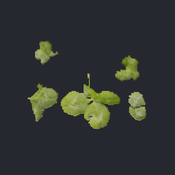 A cluster of clover leaves inflated as several separate puffed medallions, rotating.