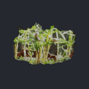 A weathered stump with a sapling, inflated and rotating.