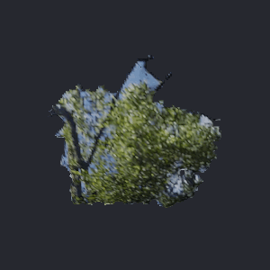 A leafy tree canopy inflated and rotating on a turntable.