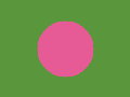 Input fixture: a flower on a plain background