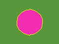 The same flower with the wand selection traced as a yellow outline