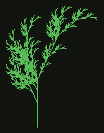 A green fern grown from a bracketed L-system.