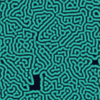 An animated teal-on-black labyrinth that grows, splits and reconnects continuously - a living maze of channels.