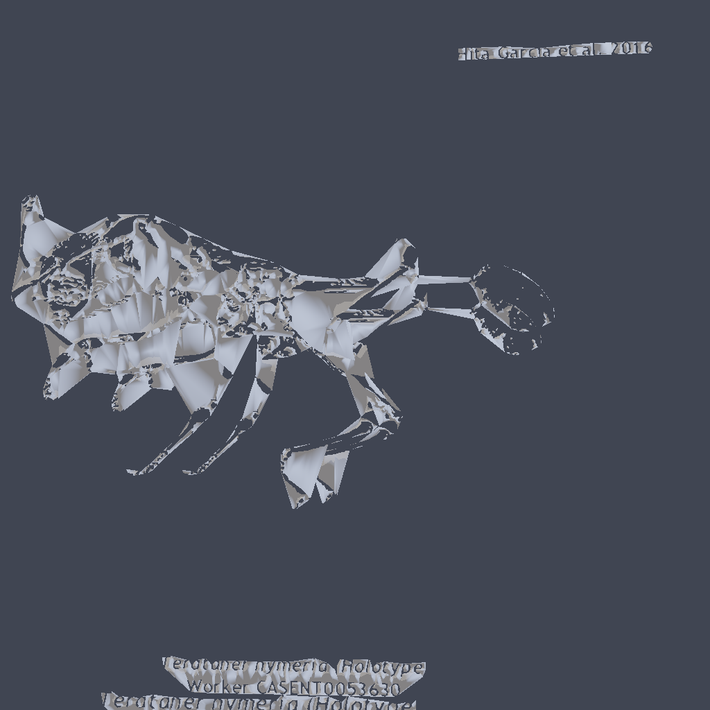 A museum ant surface scan loaded from an STL file and rendered with smooth normals and cel shading.
